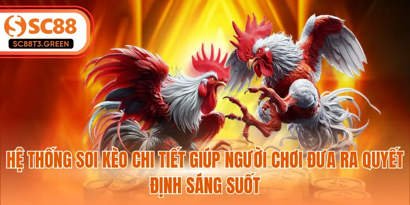 Hệ thống soi kèo chi tiết giúp người chơi đưa ra quyết định sáng suốt